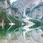 bg 08 free img 150x150.jpg